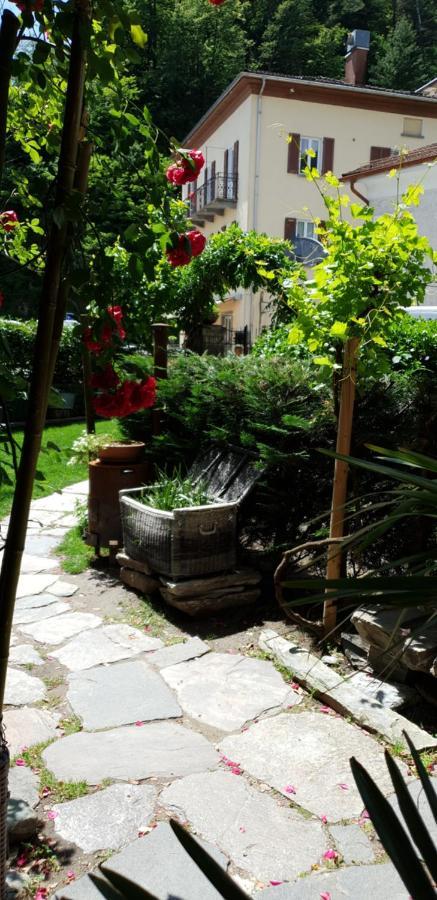 Affittacamere Casa Archi Losone Eksteriør billede